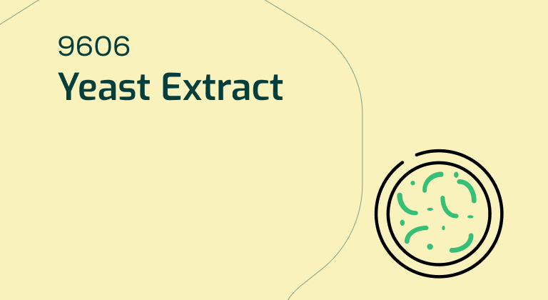 9606 Yeast Extract B1010 UF Spec 2023