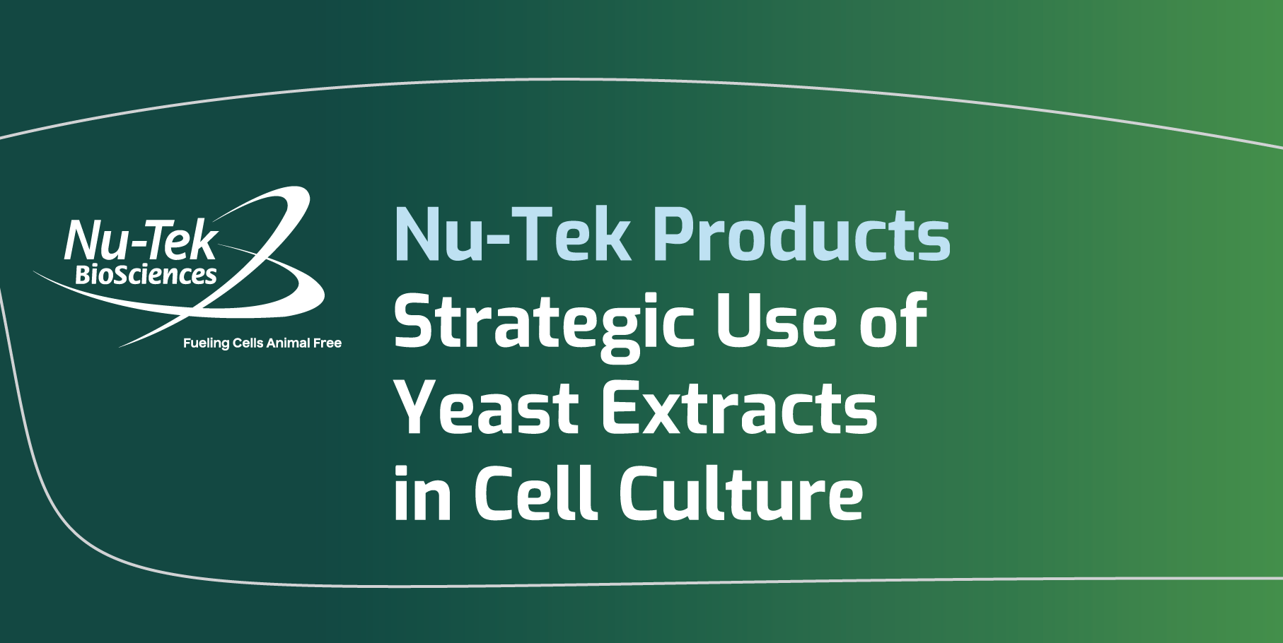 Download Strategic Use of Yeast Extracts in Cell Culture